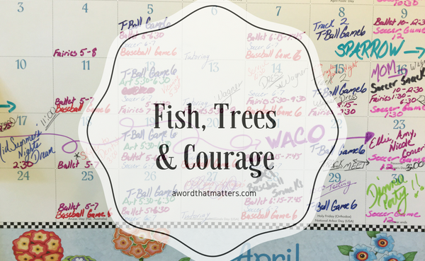 Fish, Trees & Courage